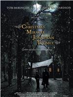 乔娜莎·图米的圣诞奇迹在线观看