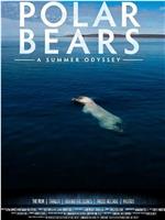北极熊：一个夏天的奥德赛