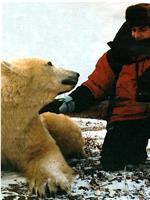 伊万·麦格雷戈探访野生北极熊