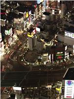 实境之旅：东京夜景在线观看