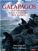 加拉帕戈斯群岛在线观看