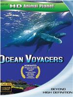 动物星球系列：鲸奇之旅在线观看