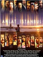 伊斯坦布尔的故事