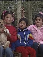 大地的拂晓：中国农村少女和丰田的10年