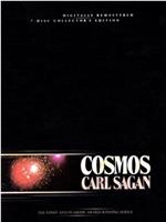 卡尔·萨根的宇宙在线观看