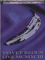 Velvet Underground: Velvet Redux Live MCMXCIII在线观看
