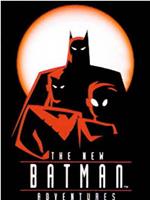 蝙蝠侠新冒险 第一季在线观看