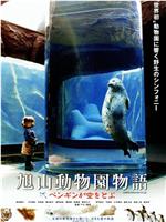 旭山动物园物语：空中飞翔的企鹅在线观看