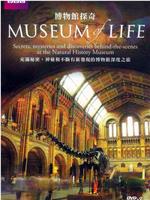 生命博物馆在线观看
