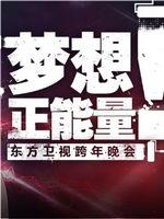 东方卫视跨年演唱会在线观看