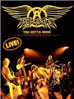 Aerosmith You Gotta Move在线观看