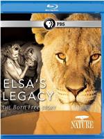 PBS：自然 - 艾尔莎的遗产：生而自由的故事