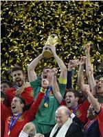 新王加冕：2010年世界杯纪录片在线观看