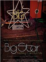 Big Star: Nothing Can Hurt Me在线观看