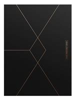 EXO's SECOND BOX在线观看