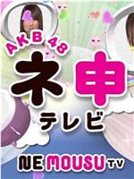 AKB48神TV在线观看