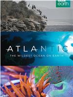 大西洋：地球最狂野的海洋