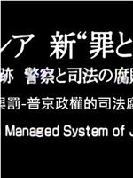 俄国 新“罪与罚” ～追踪 警察与司法的腐败～在线观看