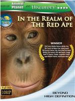 狂野亚洲：赤猿的领地