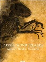 化石仙境：隐藏在自然中的宝藏在线观看