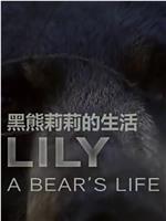 莉莉 一头熊的生活