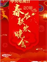 2018年中央电视台春节联欢晚会在线观看