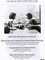 Fragmentos de um Filme-Esmola: A Sagrada Família在线观看