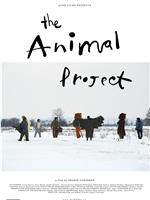 动物项目