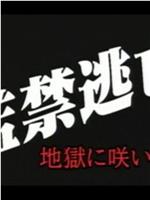 監禁逃亡 地獄に咲いた女在线观看