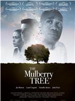 The Mulberry Tree