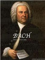 Bach在线观看