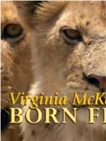 弗吉尼亚·麦肯娜回顾《生来自由》在线观看