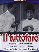 Il tuttofare在线观看