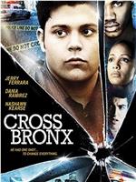 Cross Bronx