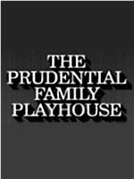 The Prudential Family Playhouse在线观看