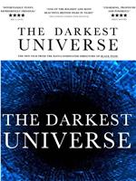 the darkest universe