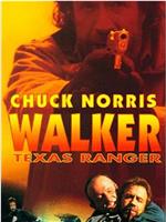 Walker Texas Ranger 3: Deadly Reunion在线观看