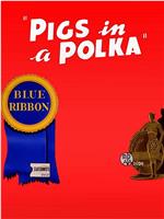 猪的波尔卡在线观看