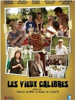 Les vieux calibres在线观看