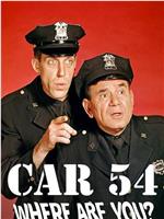 Car 54, Where Are You?在线观看