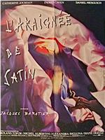 L'araignée de satin