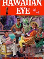 Hawaiian Eye在线观看