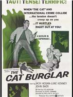 The Cat Burglar