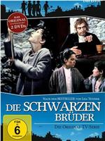 Die schwarzen Brüder