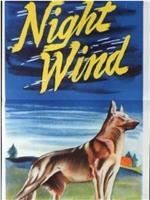 Night Wind