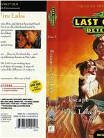 The Last Chance Detectives: Escape from Fire Lake在线观看