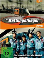 Die Rettungsflieger在线观看