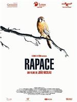 Rapace