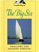 Swallows and Amazons Forever!: The Big Six在线观看