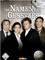 Im Namen des Gesetzes在线观看